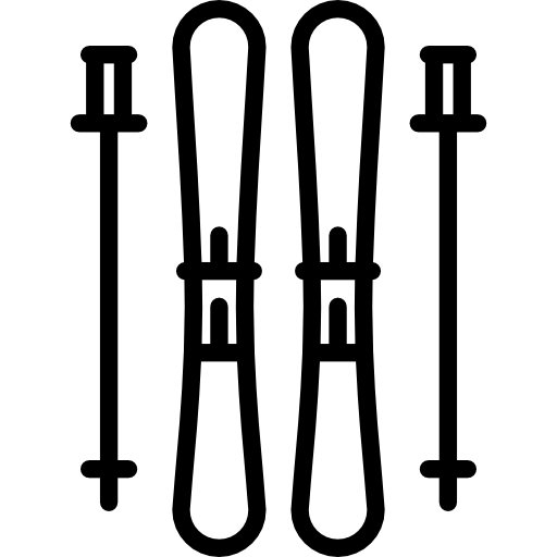 Скии
